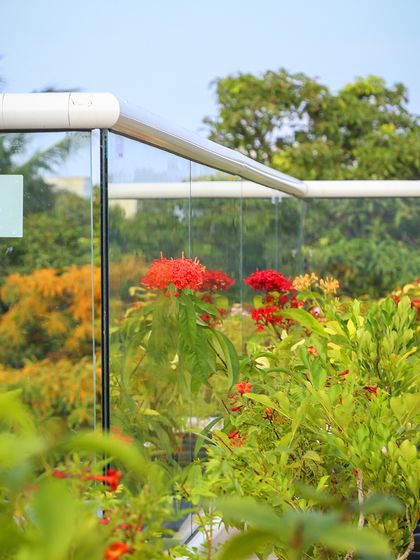 A closer view of the flowering plants selected for the Aradhya terrace project. The vibrant red Ixora flowers add a pop of color against the green foliage and the city backdrop, creating a cheerful and inviting outdoor space.