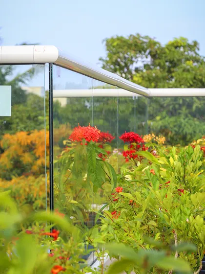 A closer view of the flowering plants selected for the Aradhya terrace project. The vibrant red Ixora flowers add a pop of color against the green foliage and the city backdrop, creating a cheerful and inviting outdoor space.