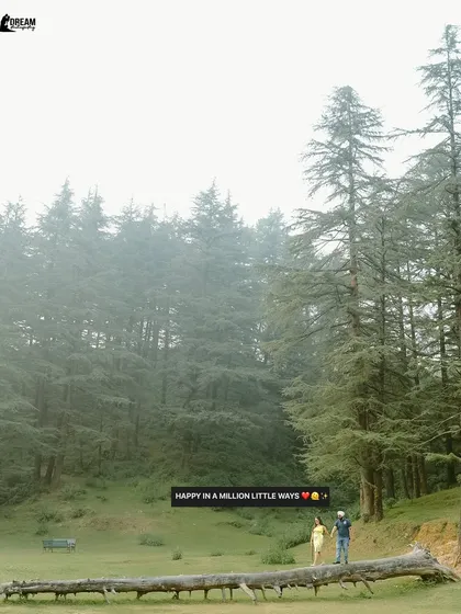 A wide shot capturing the scale of the pine forests in Mussoorie. The couple walking on a fallen log adds a touch of adventure to their love story.