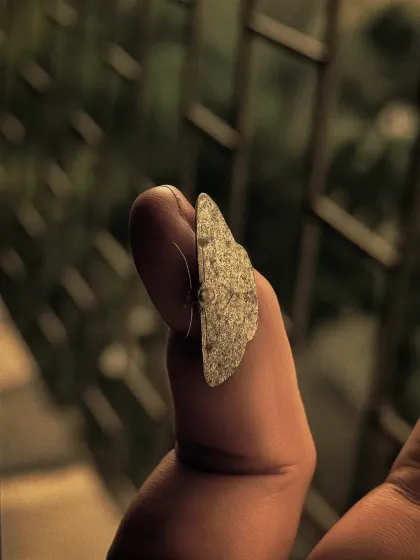 Zahid Moledina - Photography The World Up Close: Nature & Macro photo 13