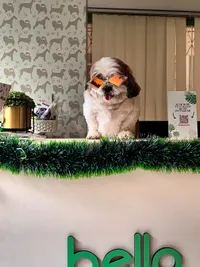 Pet Supplies