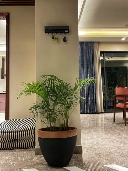 Indoor Plant Styling for Homes photo 15