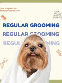 Dog Grooming