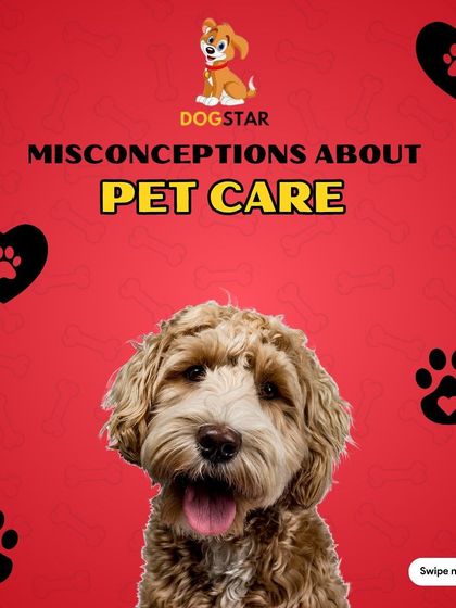 Let's bust some common myths about pet care. We are dedicated to providing expert guidance and setting the record straight so you can give your furry companion the best care possible.