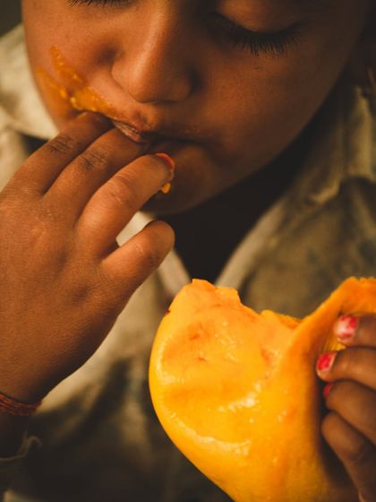 Brand Storytelling: The Konkan Mango Harvest photo 18