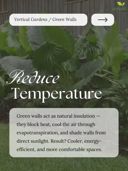 Stay cooler with a living wall. Through evapotranspiration and by shading walls from direct sunlight, our green walls naturally cool the air, creating more comfortable spaces.
