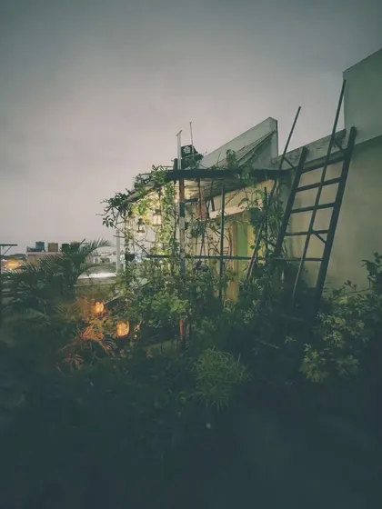 The side view of the garden structure at night, with the ladder hinting at the different levels of greenery. The lights are woven through the plants, making them sparkle.