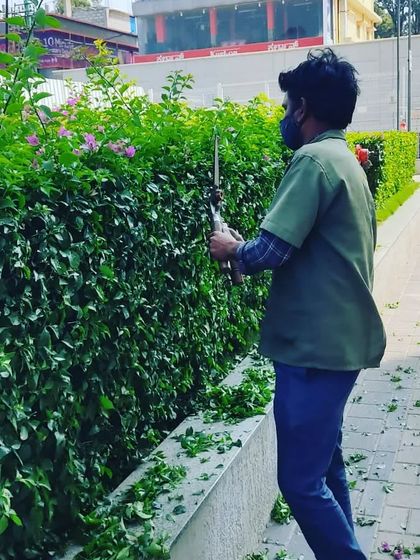 Morning Dews Landscapes - Garden & Landscape Maintenance Garden Maintenance in Action photo 6