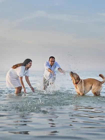 Pure, splashing joy at a dog-friendly beach in Dubai! This is what happens when we let your pet lead the way. We spent the evening chasing waves and capturing Astro the Labrador in his element, creating memories of pure, uninhibited fun for his family.