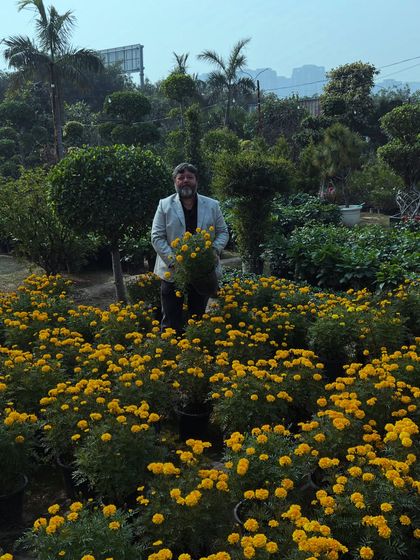 A Glimpse of Our Nursery photo 3