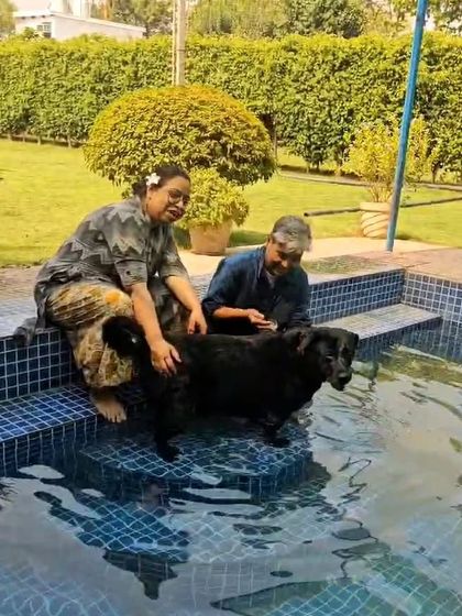 Petting and reassuring Sultan as he gets used to the water. Our goal is always a positive experience.