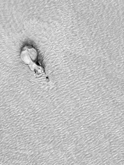 An abstract, high-key monochrome shot of an elephant in water, focusing on the patterns and textures.