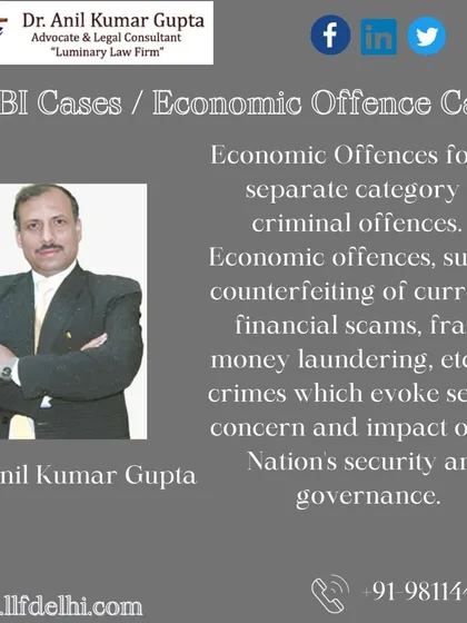 This image details the nature of economic offences, such as counterfeiting, financial scams, and fraud. Our firm has significant experience in defending clients against these serious allegations that impact national security and governance.