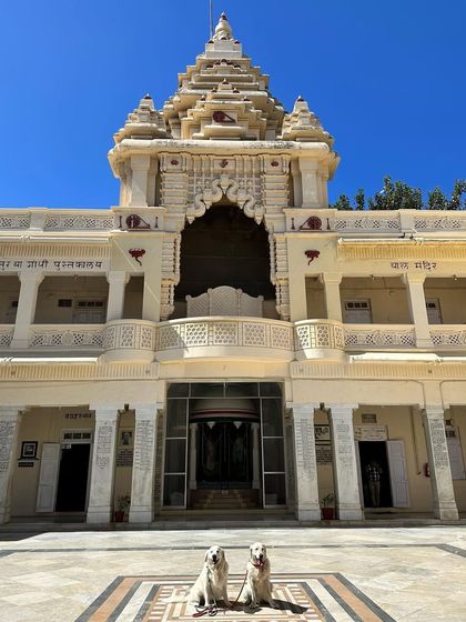 Deepthi - Dog Travel & Adventure Coaching Training for Real-World Adventures photo 10