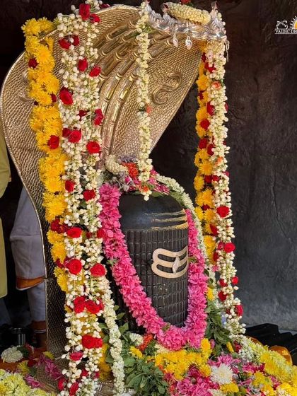 Art of Living - Religious Ceremonies & Festivals Maha Shivratri: An All-Night Awakening photo 35