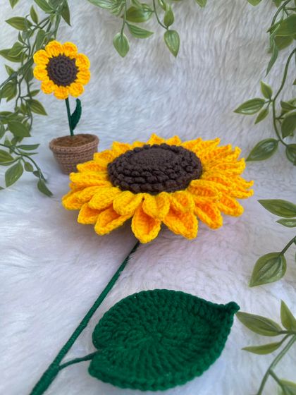 This shows the size comparison between my life-sized single sunflower and the smaller potted sunflower. Both are cute, but the large one is truly a showstopper.