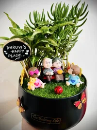 Custom Miniature Gardens & Terrariums