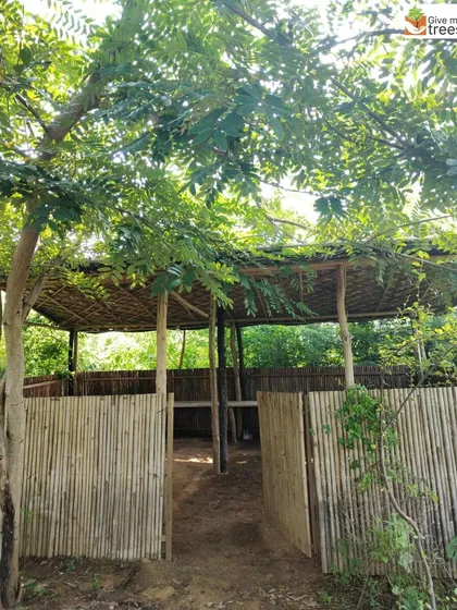 The bamboo hut at our Neem Karoli site provides a shaded, rustic shelter for our team and visitors. It is built entirely from natural materials, reflecting our commitment to sustainability in all aspects of our work.