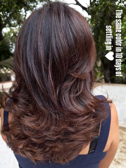 Holiday ready in 'Chocolate Truffle'. This set shows the transformation from grown-out color to a rich, dark chocolate brown. I also included a shot showing how the color settles beautifully after 10 days.