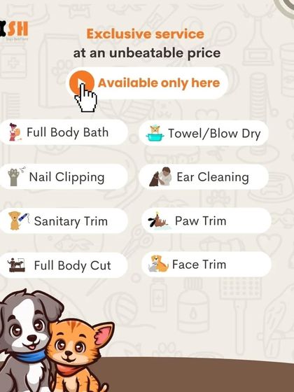 Petish Grooming - Mobile Grooming for Dogs & Cats Our Grooming Packages photo 22