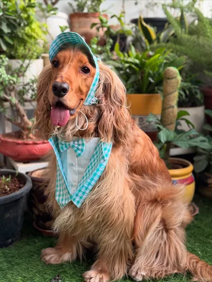 Posto looking very stylish in his gingham bonnet and bib, twinning with his baby brother.