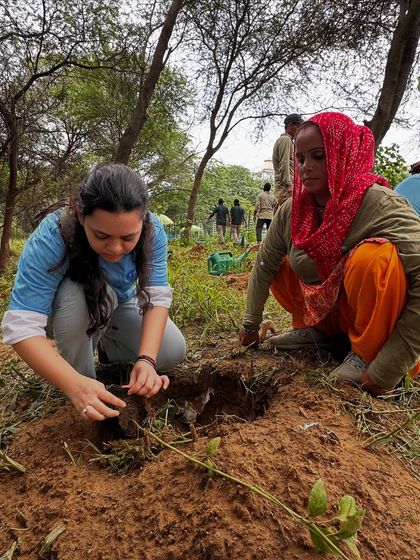 A volunteer from Carrier India works alongside our team member to plant a native sapling. This partnership helps us restore fragile lands where the rocky Aravalis meet sandy bhood soil.
