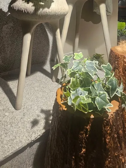 A planter designed to look like a natural tree stump, blending perfectly with an outdoor or rustic theme.