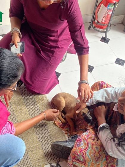 Participants at our "Reading with Pups" session in Coimbatore, enjoying books and the company of our adorable indie puppies.