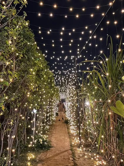 Imagine walking through this tunnel of lights at your own party. I create these enchanting pathways at my farm for evening celebrations like Diwali parties, anniversaries, or corporate dinners.