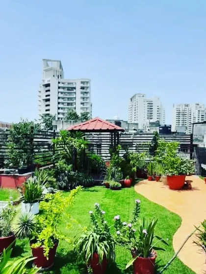 A wide-angle view of the terrace garden, showing how it creates a green oasis in the middle of a dense urban environment.