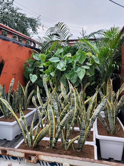 Delhi Gardner - Full-Service Landscaping Our Process: From Concept to Creation photo 14