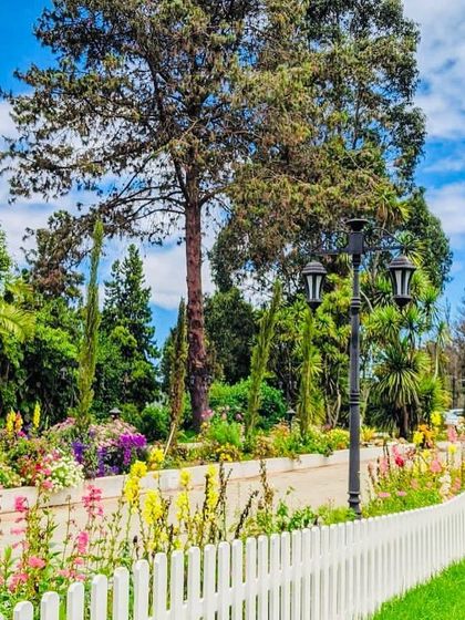 Ecoscapes Landscaping - Comprehensive Landscaping Services Commercial & Hospitality Landscapes photo 4