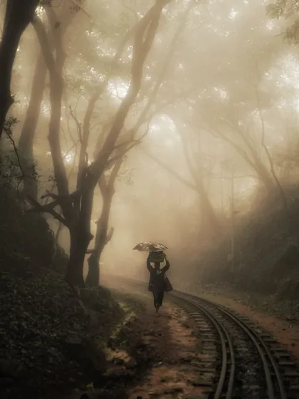 A lone figure walks along the toy train tracks in a foggy Matheran forest. This shot captures the quiet, mysterious beauty of the hill station.