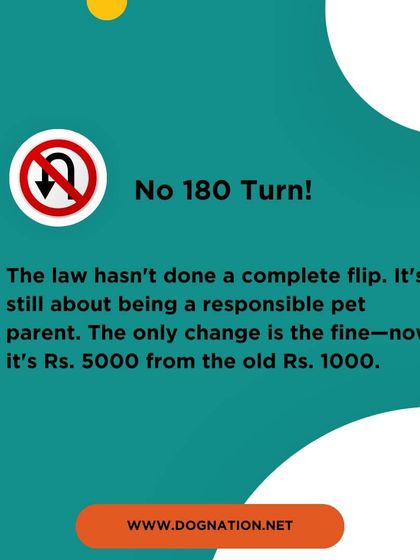 DogNation - Dog Training & Behavior Dog Care & Wellness Guides photo 22