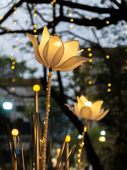 A detailed shot of our custom-made illuminated lotus flowers, which add a unique and artistic touch to the event's lighting design.
