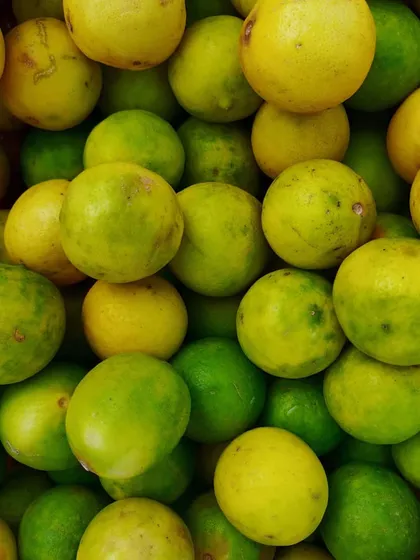 A pile of fresh lemons and limes. These are used for my various lemon pickles, from classic to sweet and spicy.