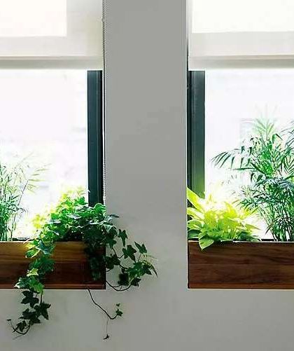 Planters & Plant Styling photo 6