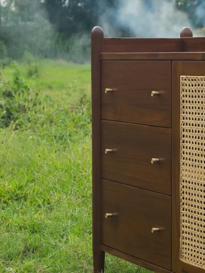 A detailed look at the Ballygunge Console Series, showcasing the fine craftsmanship, brass hardware, and versatile configurations we can create for bespoke storage units like credenzas, TV consoles, and sideboards.