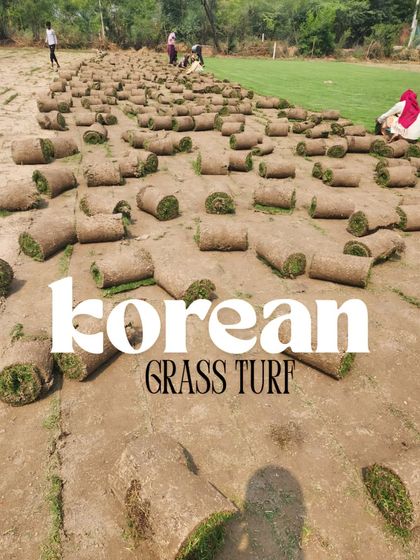 Delhi Gardner - Full-Service Landscaping Premium Lawn & Turf Solutions photo 12