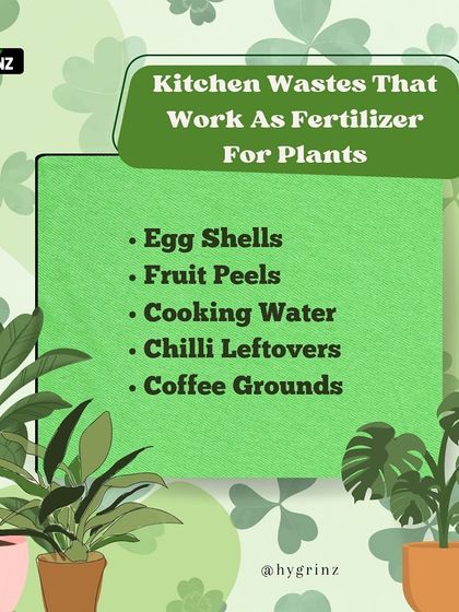 Hygrinz - Garden Maintenance Gardening Know-How: Tips & Techniques photo 19