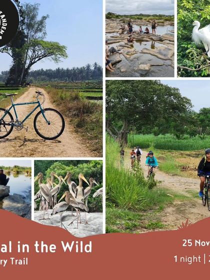 This collage for our 'Pedal in the Wild: Cauvery Trail' tour shows the variety of experiences: trail riding, bird spotting, and relaxing by the river.