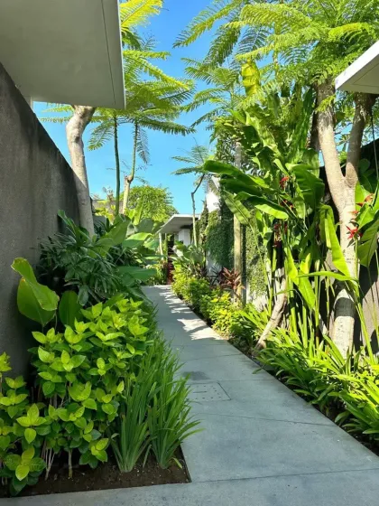 A clean, modern concrete path is flanked by lush greenery in a narrow residential corridor. This design brings life and a sense of nature to the functional spaces between buildings.