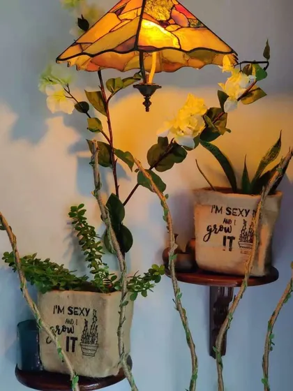 Plants can be fun and cheeky too. These jute grow bags with the quote 'I'M SEXY AND I GROW IT' add a playful touch to this indoor plant display, showing how greenery can reflect your personality.