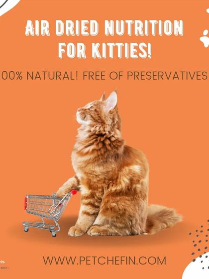 Does your cat turn its nose up at everything? Our mouth-watering air-dried treats are so delicious, even the most selective feline connoisseur won't be able to resist.