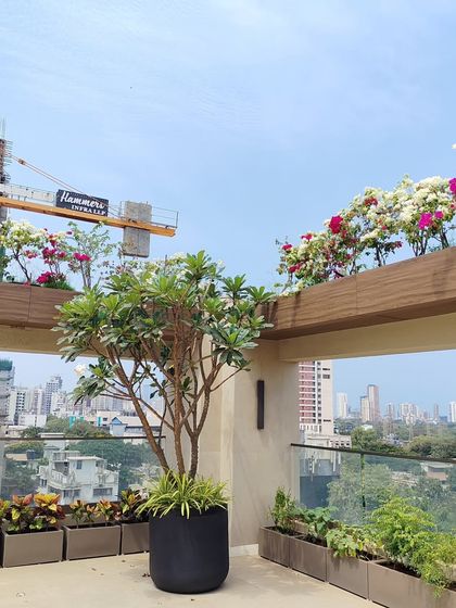 Terrace & Bungalow Landscaping photo 13