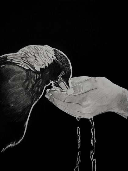 A close-up of the "Caring" drawing, highlighting the texture of the bird's feathers and the reflective quality of the water.