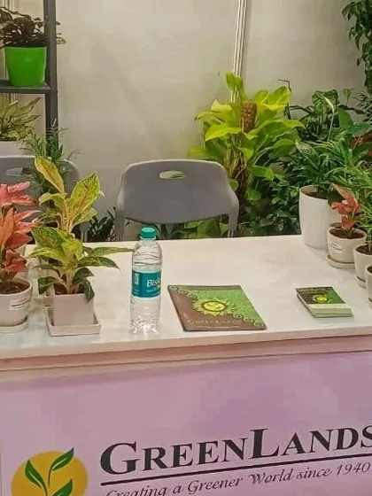 My welcome desk at the MSME Startup Expo, featuring a selection of colorful Aglaonema and other tabletop plants. These events are a great opportunity to connect with fellow plant lovers and potential clients.