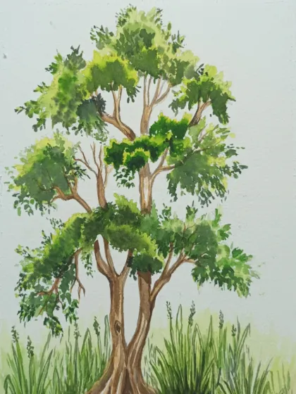 A watercolour study of a tree, focusing on the structure of the branches and the texture of the leaves.