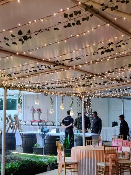 A rustic lighting setup for an outdoor event. We created a simple canopy structure and covered it with fairy lights and hanging ivy vines for a charming and natural look.