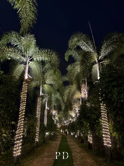 A simple yet incredibly romantic pathway to forever. We wrapped the tree trunks along this walkway with fairy lights, creating a magical, glowing path for an evening event.